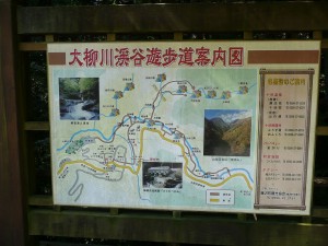 blog-2008-08-10-P1030456