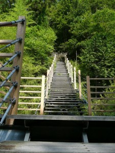 blog-2008-08-10-P1030468