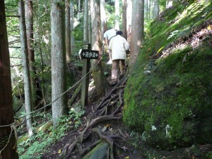 blog-2008-08-10-P1030471