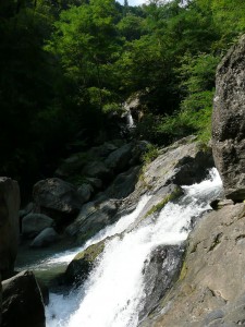 blog-2008-08-10-P1030472