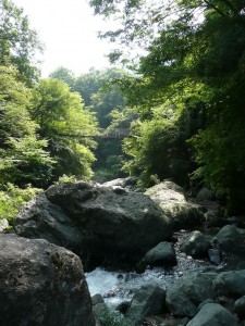 blog-2008-08-10-P1030475