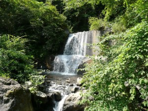 blog-2008-08-10-P1030480