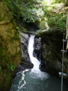 blog-2008-08-10-P1030491