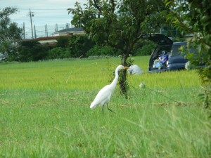 blog-2008-10-27-P1030942