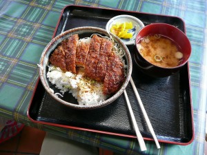 blog-2008-11-03-P1040606