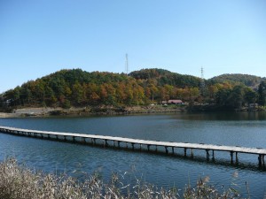 blog-2008-11-03-P1040609