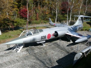 blog-2008-11-03-P1040629