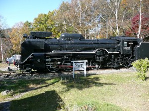 blog-2008-11-03-P1040636