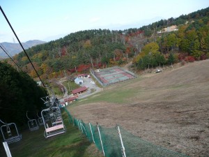 blog-2008-11-03-P1040643