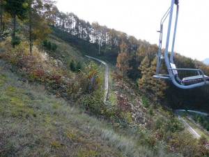 blog-2008-11-03-P1040644