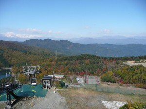 blog-2008-11-03-P1040651