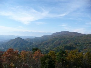 blog-2008-11-03-P1040654