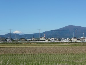 blog-2008-11-22-P1040824