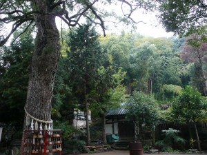 blog-2008-11-24-KURE_ONOMICHI_0034