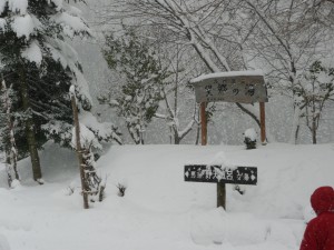 blog-2009-01-02-P1050346