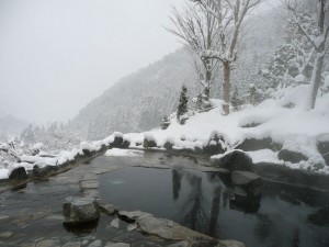 blog-2009-01-02-P1050348