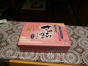 blog-2009-01-25-AIZU_0017