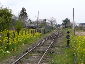 blog-2009-04-05-P1060103