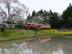 blog-2009-04-05-P1060131