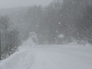 blog-2010-02-11-P1090690