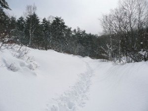 blog-2010-02-11-P1090731