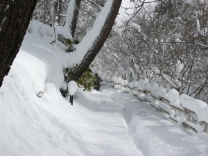 blog-2010-02-11-P1090735