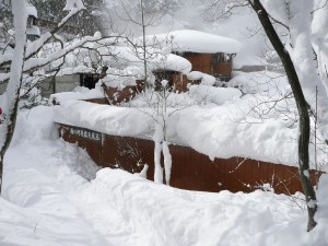 blog-2010-02-11-P1090742