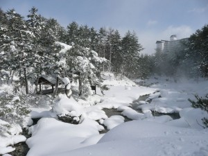 blog-2010-02-11-P1090754