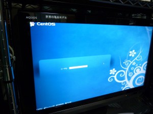 blog-2010-07-28-P1000051