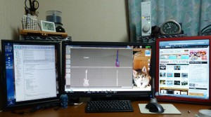 blog-2010-09-18-P1000251