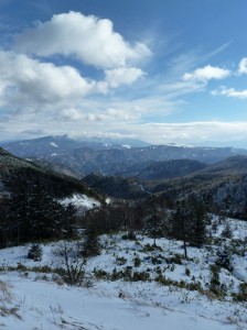 blog-2011-01-01-P1000454