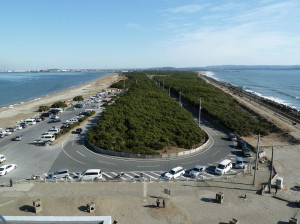 blog-2011-01-09-P1000456