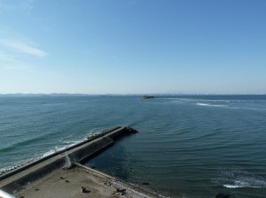 blog-2011-01-09-P1000457