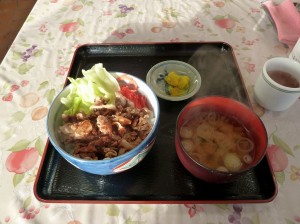 blog-2011-02-13-P1000562