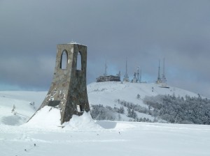 blog-2011-02-13-P1000568