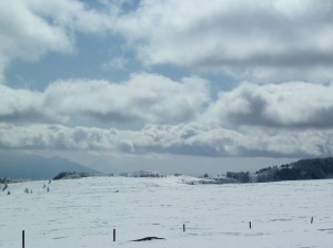 blog-2011-02-13-P1000588