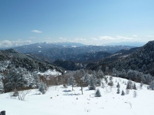 blog-2011-02-13-P1000618