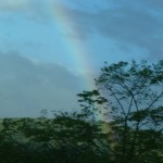 blog-2012-05-05-P1010226