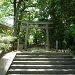 blog-2012-05-05-P1010290