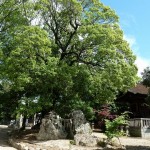 blog-2012-05-05-P1010298