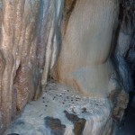 blog-2012-05-05-P1010398