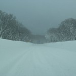 blog-2012-12-23-P1010467_R