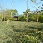 blog-20130430-kouko9