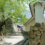 blog-20130430-shiro14